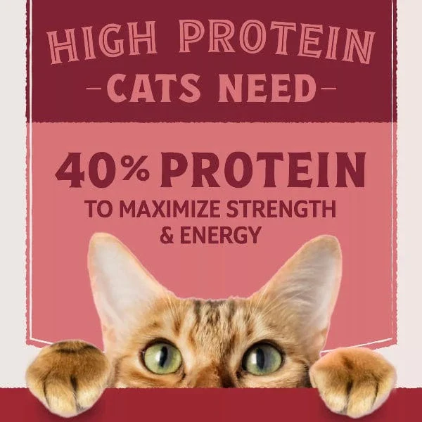 Natural Balance Original Ultra Protein Real Salmon & Chicken Meal Recipe Dry Cat Food - Image 2