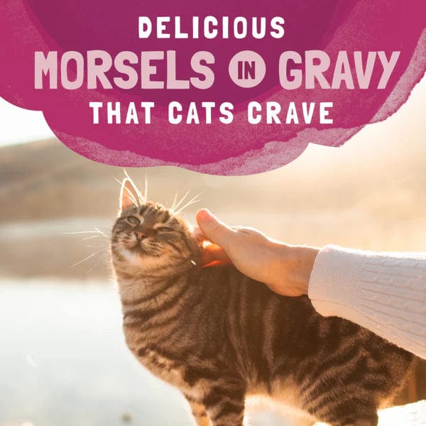 Natural Balance Platefulls Turkey, Salmon & Chicken Recipe Morsels in Gravy Soft Cat Food Pouch - Image 3