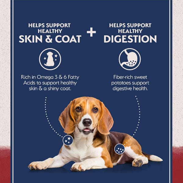 Natural Balance Reserve Sweet Potato & Bison Recipe Dry Dog Food, 22lb - Image 3