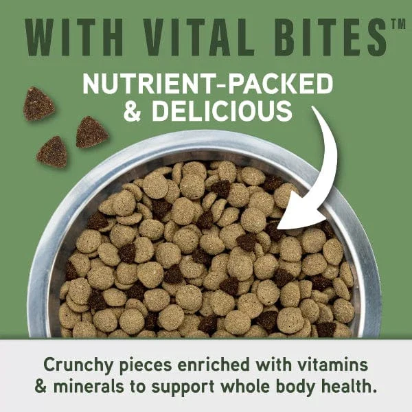 Natural Balance Specialized Nutrition Digestive & Immune Health Adult Dry Dog Food - Image 2