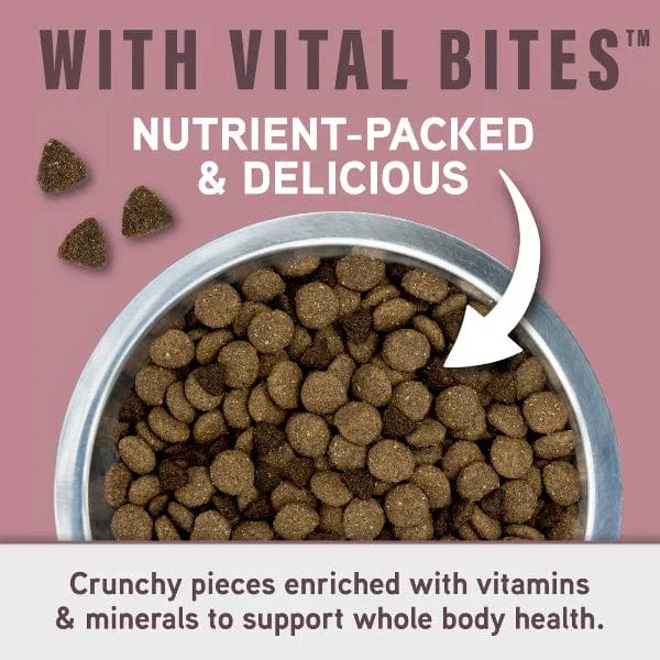 Natural Balance Specialized Nutrition Sensitive Skin & Stomach Adult Dry Dog Food - Image 2