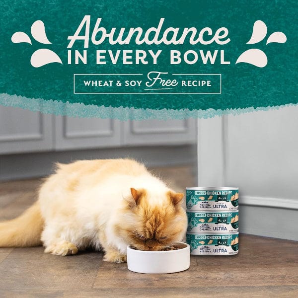 Natural Balance Ultra Indoor Chicken Recipe Canned Cat Food - Image 2
