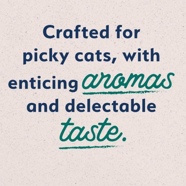 Natural Balance Ultra Indoor Chicken Recipe Canned Cat Food - Image 3