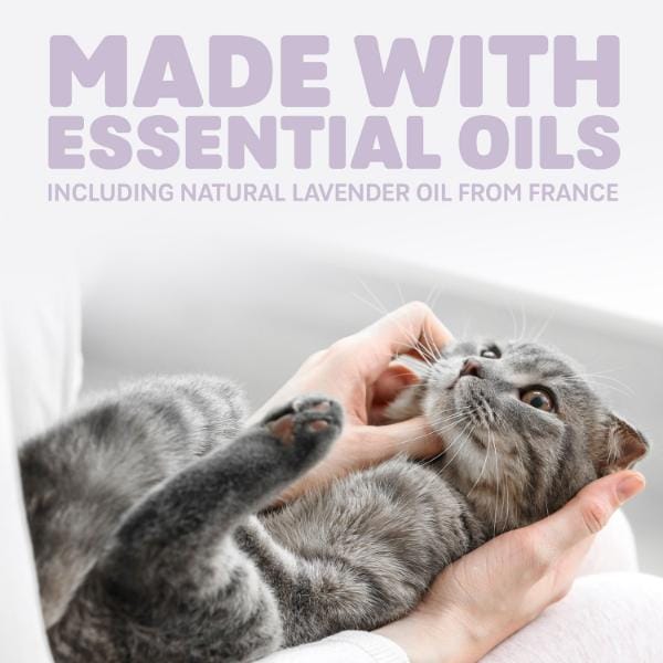 Naturally Fresh Harmony Calming Lavender & Bamboo Cat Litter - Image 3
