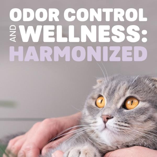Naturally Fresh Harmony Calming Lavender & Bamboo Cat Litter - Image 4
