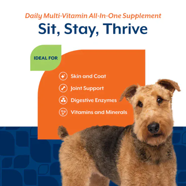 NaturVet Daily Multi-Vitamin Soft Chews For Dogs - Image 4