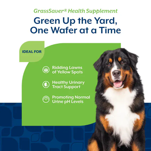 NaturVet GrassSaver Wafers for Dogs - Image 4