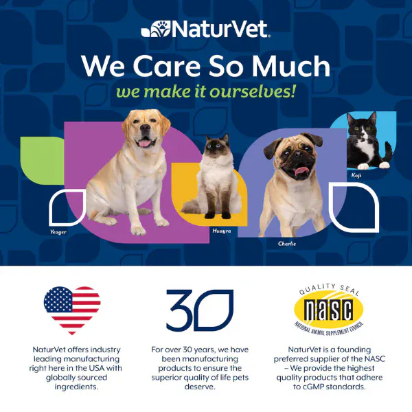 NaturVet No Scoot Plus Pumpkin Soft Chews For Dogs - Image 7