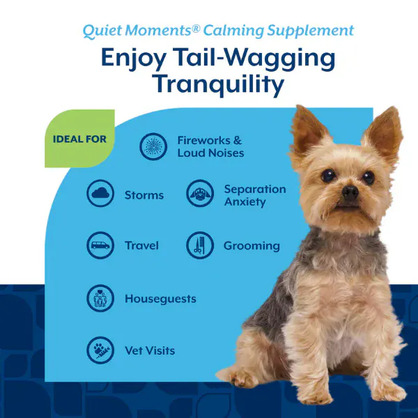 NaturVet Quiet Moments Calming Aid Plus Melatonin Soft Chews For Dogs - Image 3