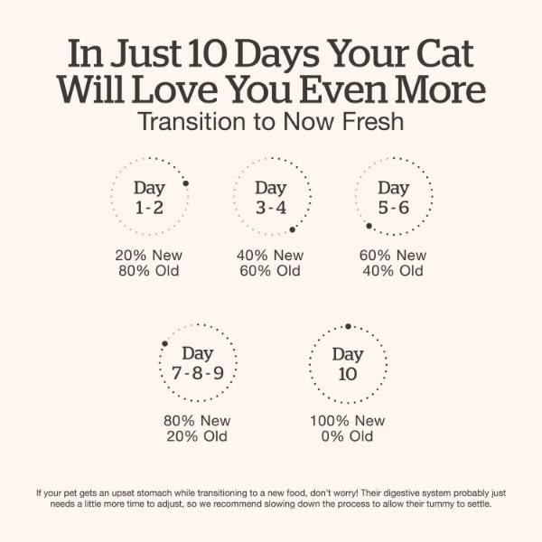 Now Fresh Chicken, Duck & Broth Blend Grain-Free Wet Cat Food - Image 5