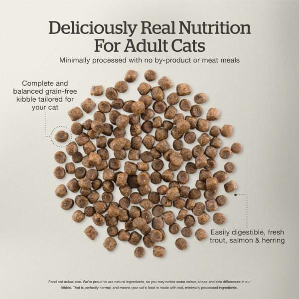 Now Fresh Fish Recipe Adult Dry Cat Food, 8 lb - Image 2