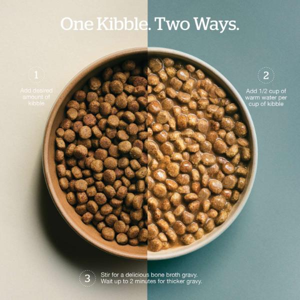 Now Fresh Good Gravy Beef Recipe Senior Dry Dog Food - Image 3