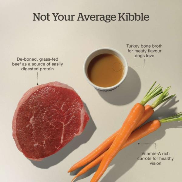Now Fresh Good Gravy Beef Recipe Senior Dry Dog Food - Image 4