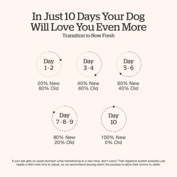 Now Fresh Good Gravy Beef Recipe Senior Dry Dog Food - Image 6