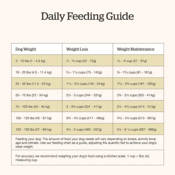 Now Fresh Good Gravy Beef Recipe Senior Dry Dog Food - Image 7