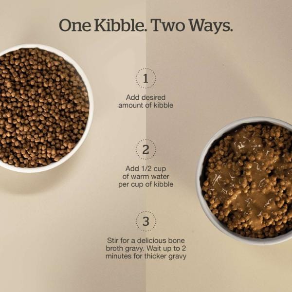 Now Fresh Good Gravy Chicken Recipe Adult Dry Cat Food - Image 2