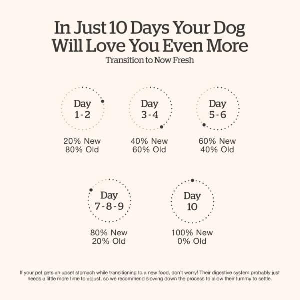 Now Fresh Good Gravy Chicken Recipe Adult Dry Dog Food - Image 6
