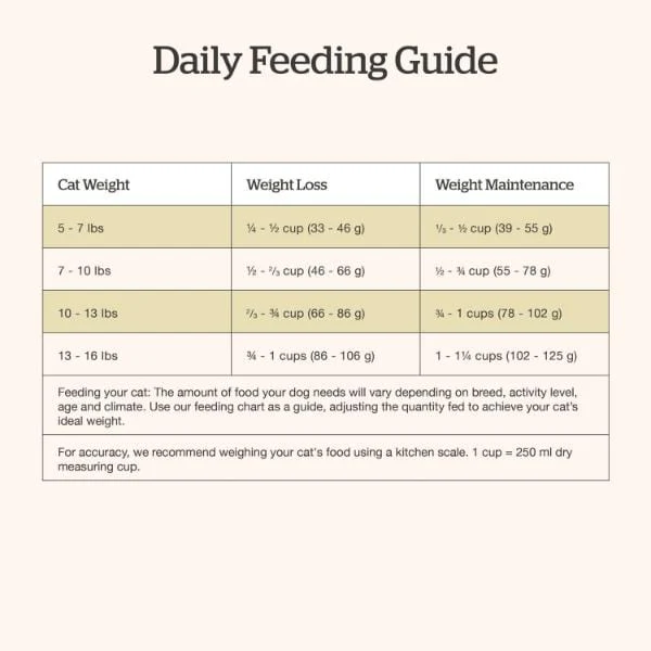 Now Fresh Good Gravy Salmon Recipe Adult Dry Cat Food - Image 6