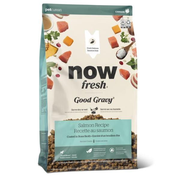 Now Fresh Good Gravy Salmon Recipe Small Breed Adult Dry Dog Food