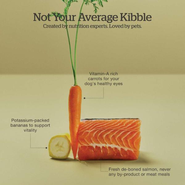 Now Fresh Good Gravy Salmon Recipe Small Breed Adult Dry Dog Food - Image 4