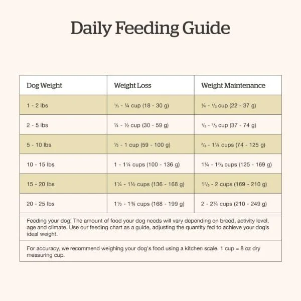Now Fresh Good Gravy Salmon Recipe Small Breed Adult Dry Dog Food - Image 7