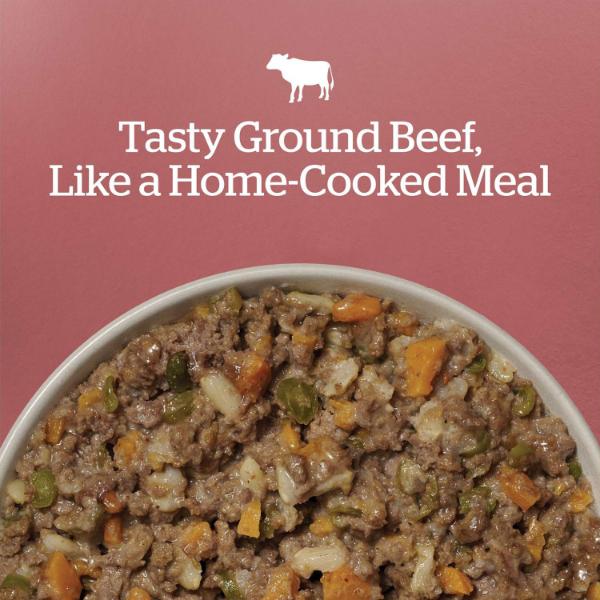 Now Fresh Ground Beef & Rice Dinner Wet Dog Food with Grains - Image 4