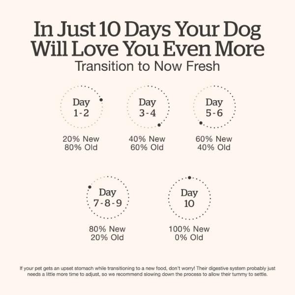 Now Fresh Ground Beef & Rice Dinner Wet Dog Food with Grains - Image 5