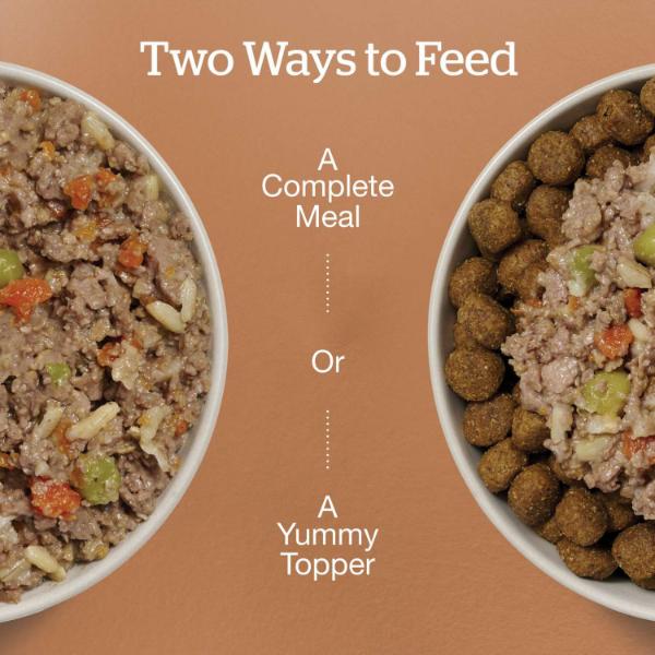 Now Fresh Ground Chicken & Rice Dinner Wet Dog Food with Grains - Image 2