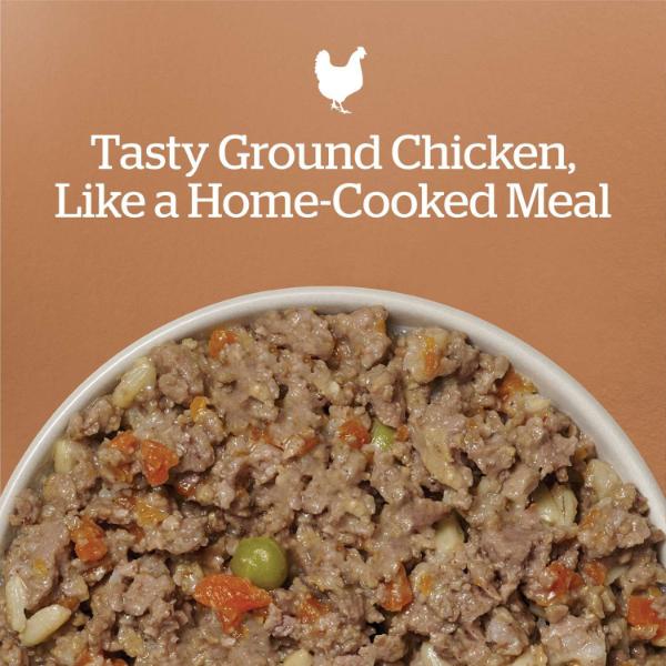 Now Fresh Ground Chicken & Rice Dinner Wet Dog Food with Grains - Image 4