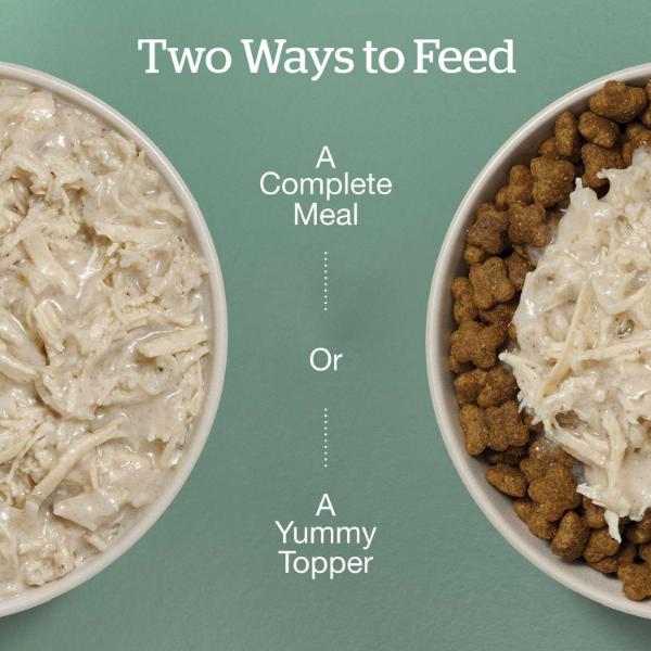 Now Fresh Shredded Chicken & Broth Grain-Free Wet Small Breed Dog Food - Image 2
