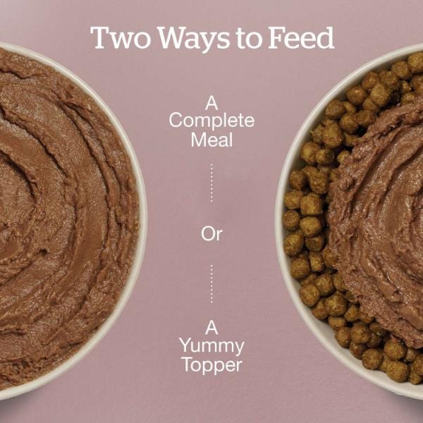 Now Fresh Tuna & Salmon Pâté Grain-Free Wet Cat Food - Image 2