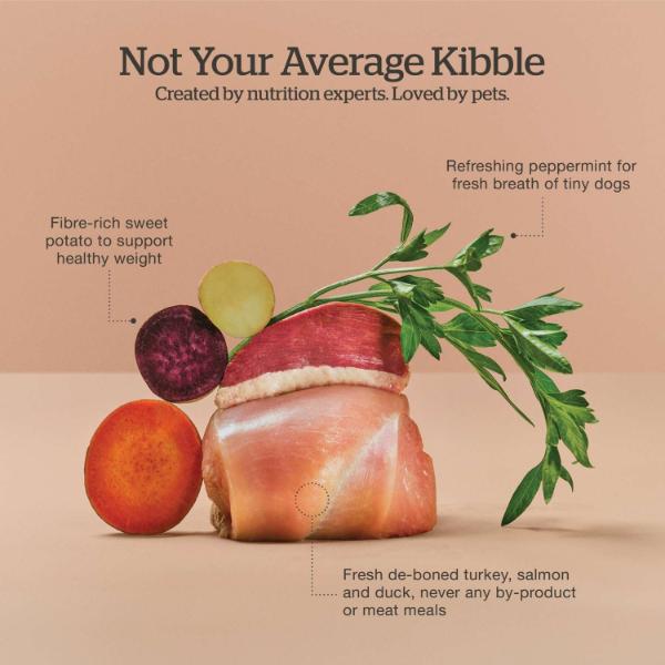 Now Fresh Turkey, Salmon & Duck Recipe Small Breed Senior Dry Dog Food - Image 4