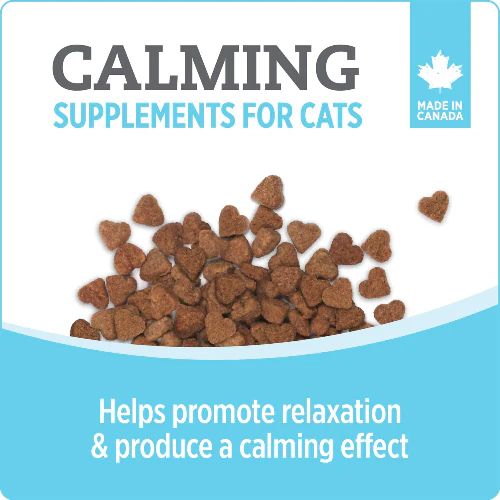 Nutrience Care+ Calming Cat Supplement - Image 3