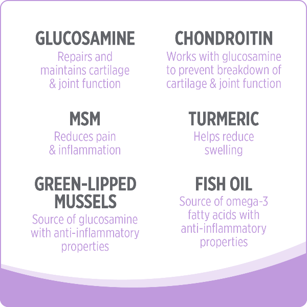 Nutrience Care+ Hip & Joint Dog Supplement - Image 4