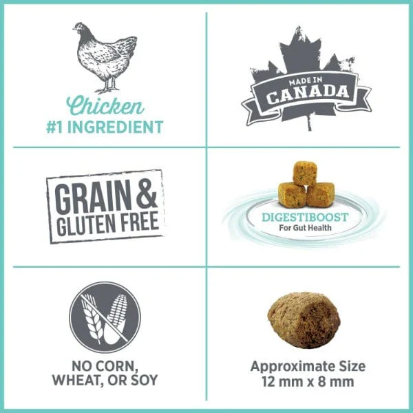 Nutrience Care+ Oral Health Dry Cat Food - Image 2