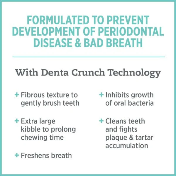 Nutrience Care+ Oral Health Dry Cat Food - Image 3