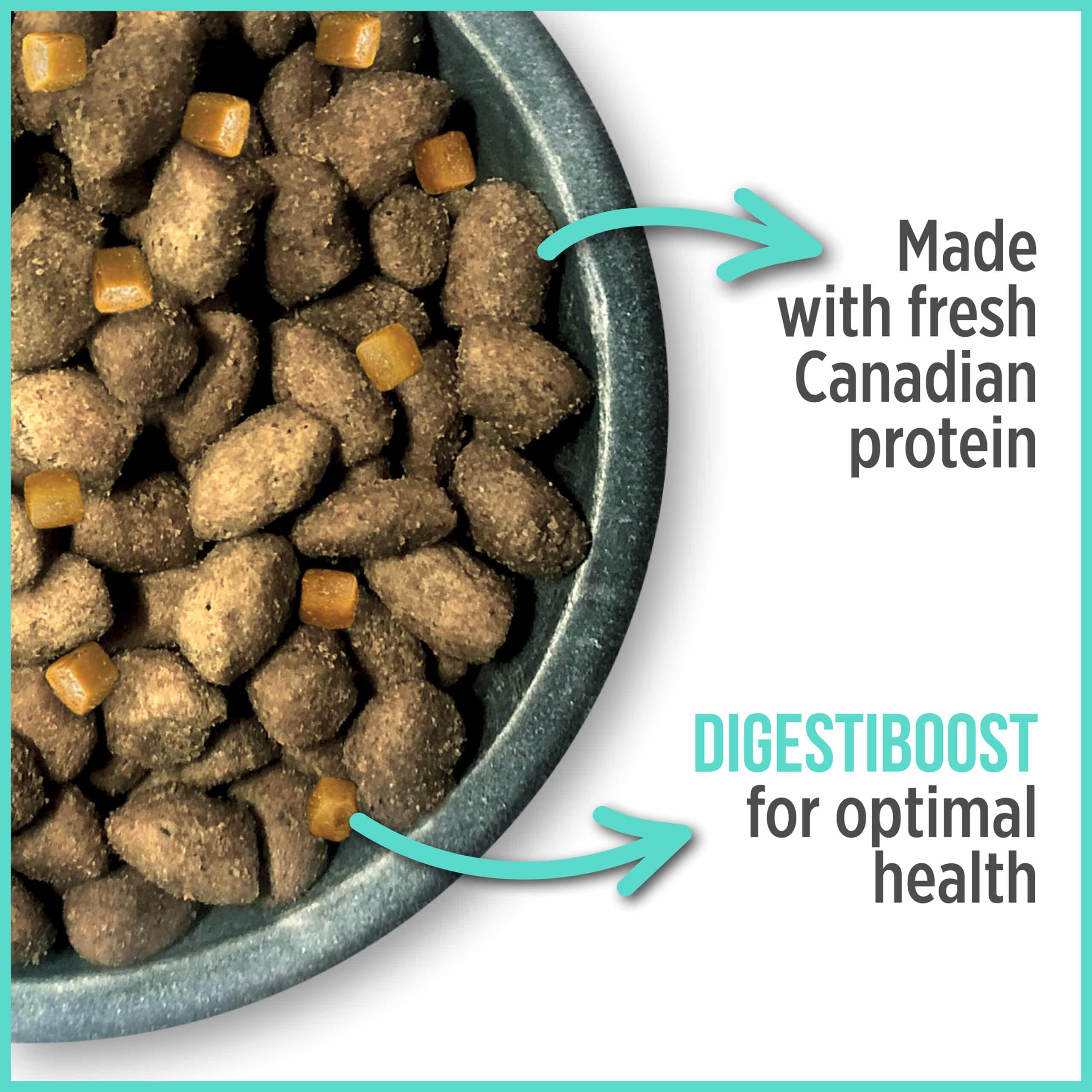 Nutrience Care+ Oral Health Dry Cat Food - Image 4
