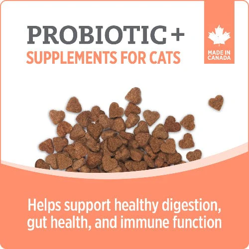 Nutrience Care+ Probiotic Cat Supplement - Image 3