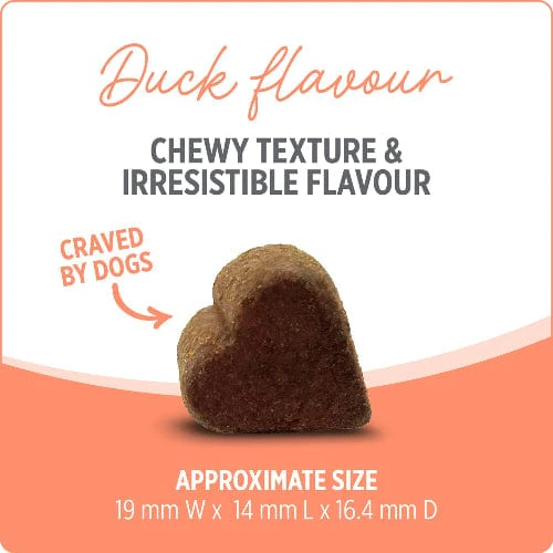 Nutrience Care+ Probiotic+ Dog Supplement - Image 2