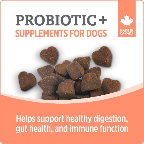 Nutrience Care+ Probiotic+ Dog Supplement - Image 3