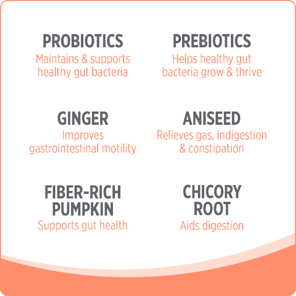 Nutrience Care+ Probiotic+ Dog Supplement - Image 4