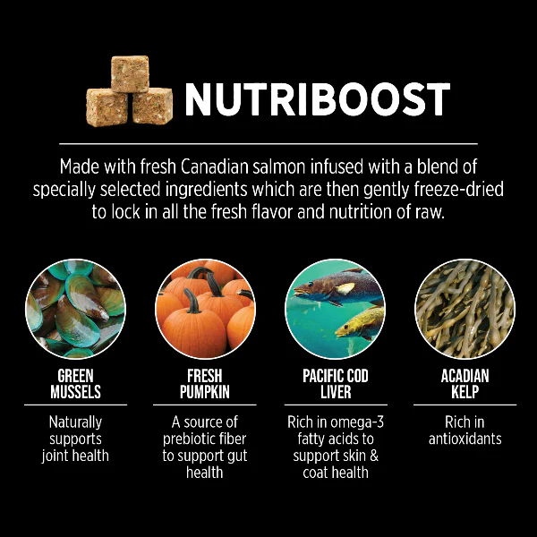 Nutrience SubZero Canadian Pacific High Protein Dry Cat Food - Image 5
