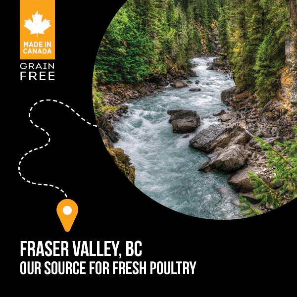 Nutrience SubZero Fraser Valley Small Breed Dry Dog Food - Image 5