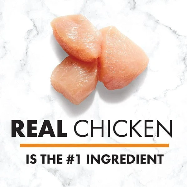 Nutro Slow Cooked Chicken Recipe Pate Wet Dog Food - Image 2