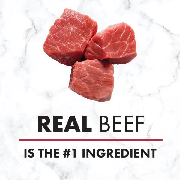 Nutro Tender Beef Recipe Pate Wet Dog Food - Image 2