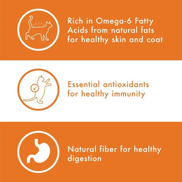 Nutro Wholesome Essentials Chicken & Brown Rice Adult Dry Cat Food - Image 2