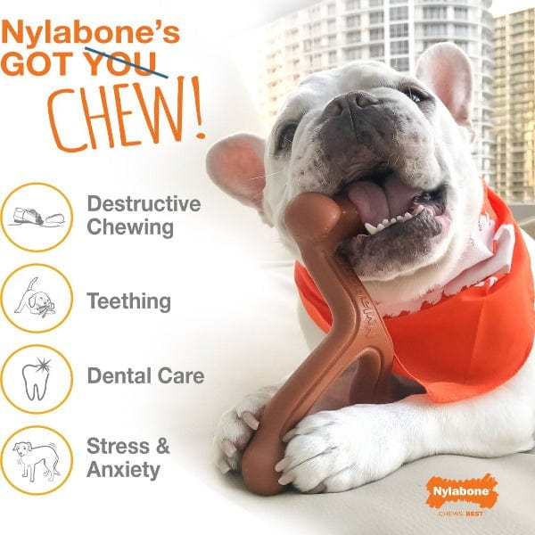 Nylabone Power Chew Bacon & Chicken Durable Dog Chew Toy Pack - Image 5