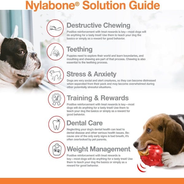 Nylabone Durachew Big Chew; Knot Bone - Image 5