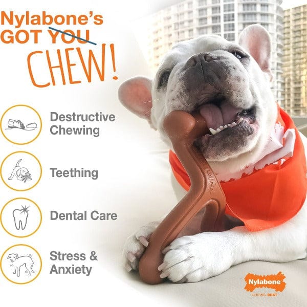 Nylabone Power Chew Ring Dog Chew Toy - Image 2
