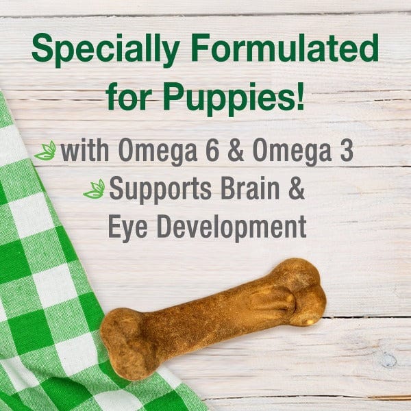 Nylabone Healthy Edibles Lamb & Apple Flavour Regular Puppy Chews - Image 2